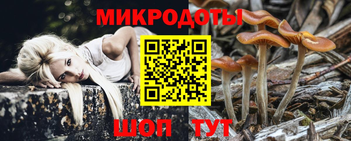 где купить   Псилоцибиновые грибы прущие грибы  Югорск  Вход с VPN  Псилоцибиновые грибы Psilocybine cubensis 