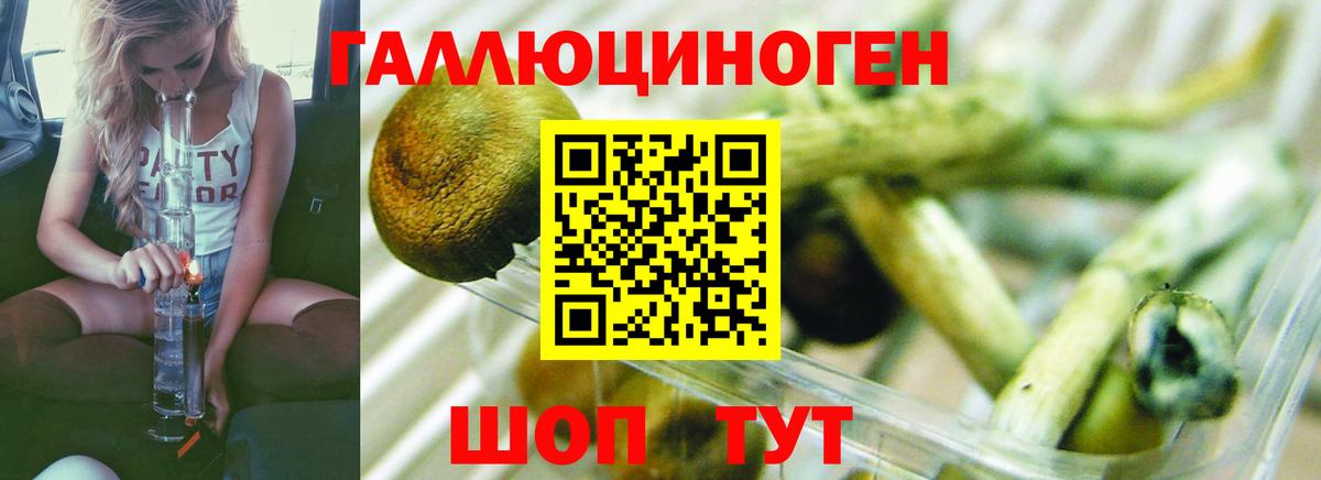 Галлюциногенные грибы ЛСД Югорск
